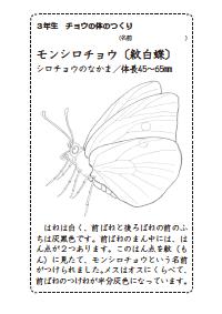 女教師ツーウェイ 13年7月号 すぐ使えるファックスページ 直写教材 ３年用 直写ノート活用で チョウの体のつくりを学習する